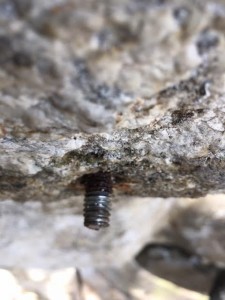 Old rusty bolt at Dishman